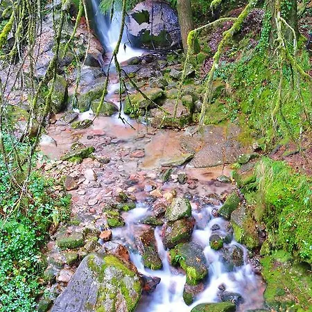 Apartamento Chale De Soutelinho Gerês