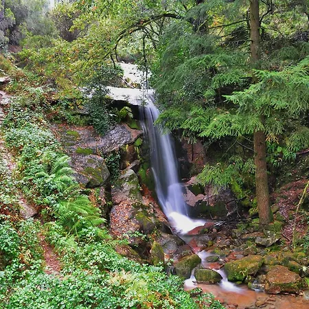 Chale De Soutelinho Gerês